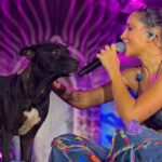 WhatsApp Image 2026-04-22 at 17.08.45